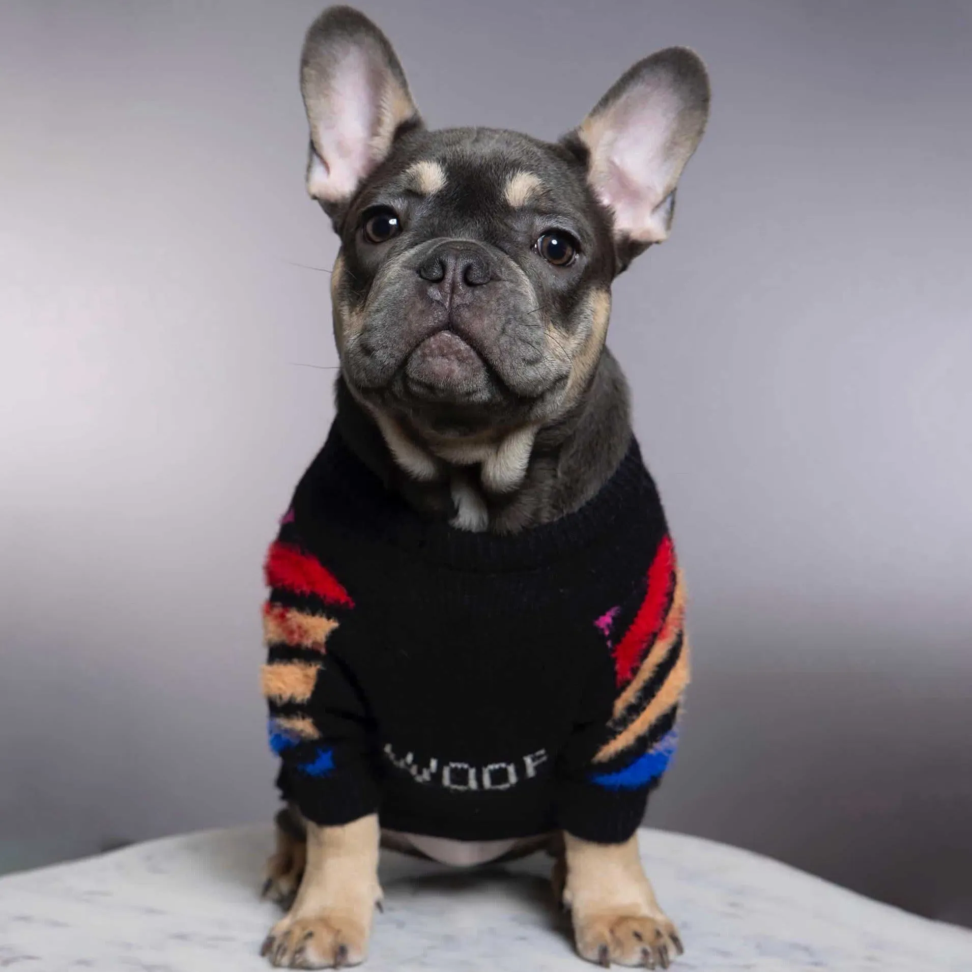 Frenchup™ - Frenchie Woof Winter Sweater V3